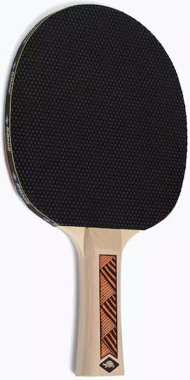 Donic Champs 200 Ρακέτα Ping Pong για Αρχάριους Παίκτες