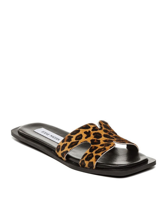Steve Madden Steve Madden
