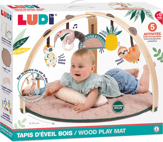 Ludi Baby Activity Gym for 6+ Months
