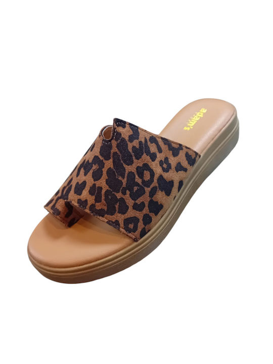 Adam's Shoes