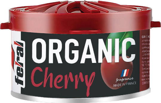 Auto Gs Car Air Freshener Can Console/Dashboard Cherry 40gr