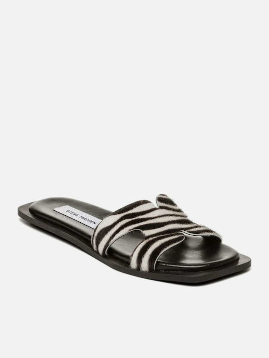 Steve Madden Steve Madden