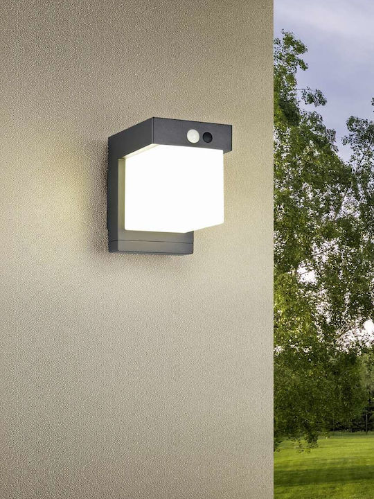 Trio Lighting Επιτοίχιο Εξωτερικό Φωτιστικό Μαύρο