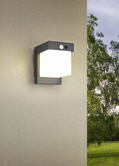 Trio Lighting Стенно Външно Осветително Тяло Черно Trio Lighting Стенно Външно Осветително Тяло Черно