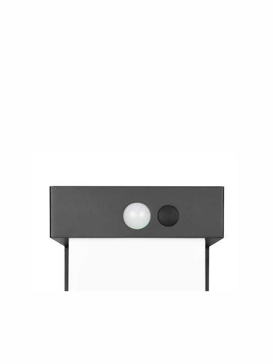 Trio Lighting Wall-Mounted Outdoor Light