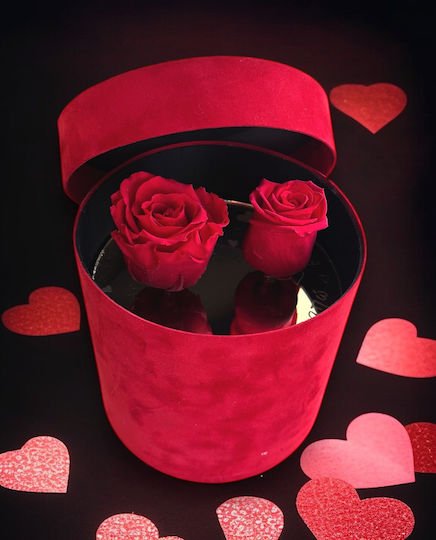 Samtrote Box mit 2 ewigen Rosen