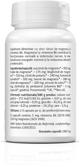 Zenyth PentaMag 355mg με Βιταμίνη B6 100gr 30 κάψουλες Energy
