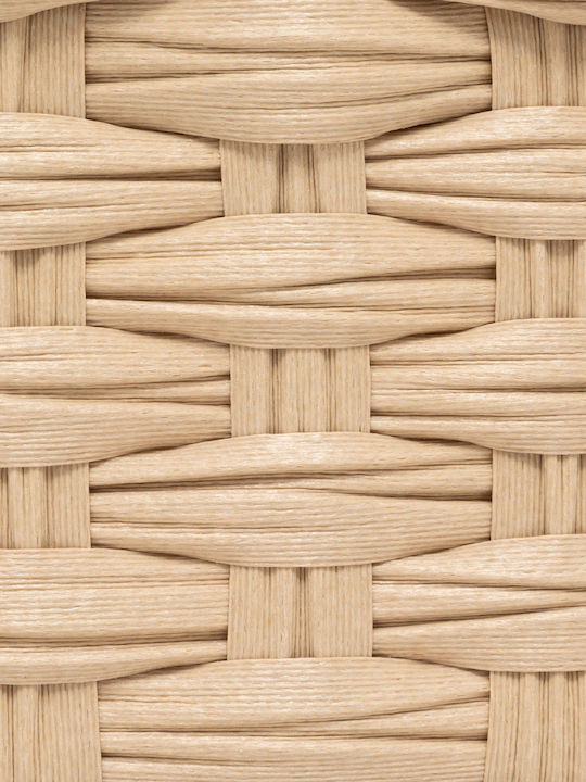 5Five Aufbewahrungskorb Kunststoff Beige 3Stück