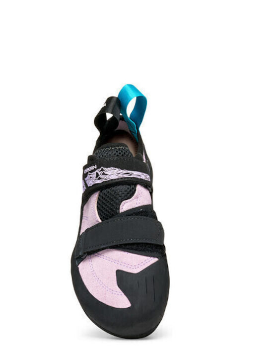 Scarpa Women's Multicolour Climbing Shoes