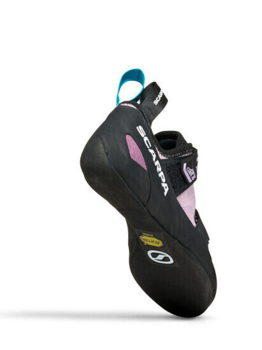 Scarpa Women's Multicolour Climbing Shoes