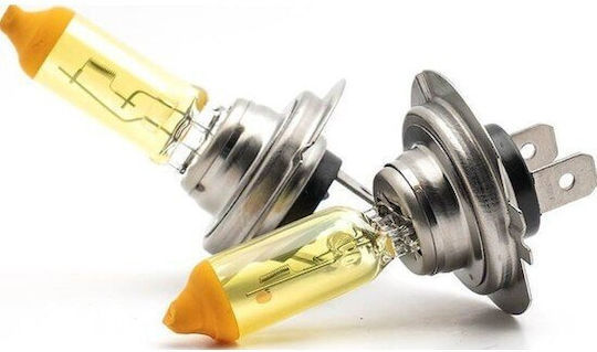 Lămpi Autoturismului H7 Halogen 3000K Alb cald 12V 55W 2buc