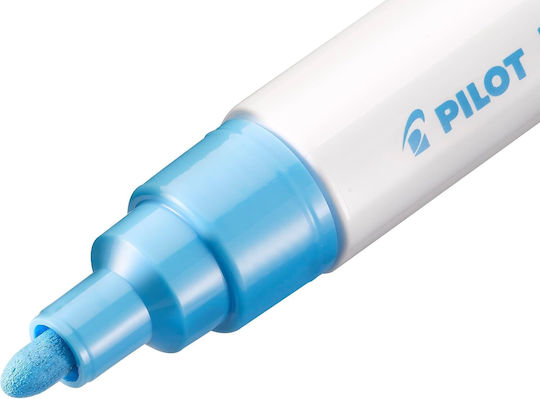 Pilot Pintor Μαρκαδόροι Σχεδίου 1mm Σετ 10 χρώματα