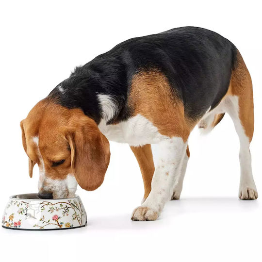 Hunter Stainless Steel Bowl Food for Dog & Cat 700ml in White Color