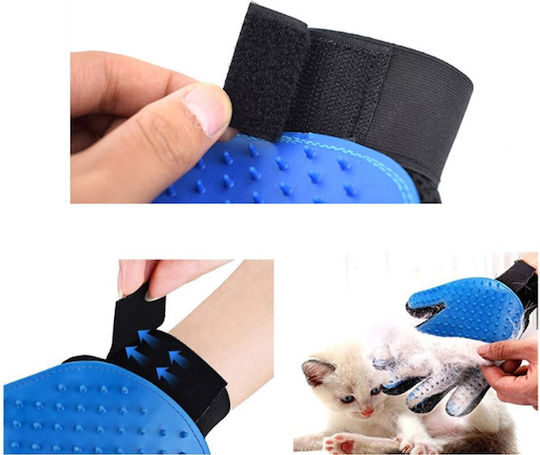 Hundekörper-Reinigungshandschuh 7pet10