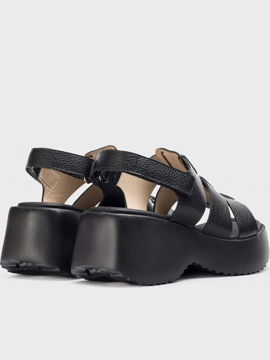 Platforme Dama Negre