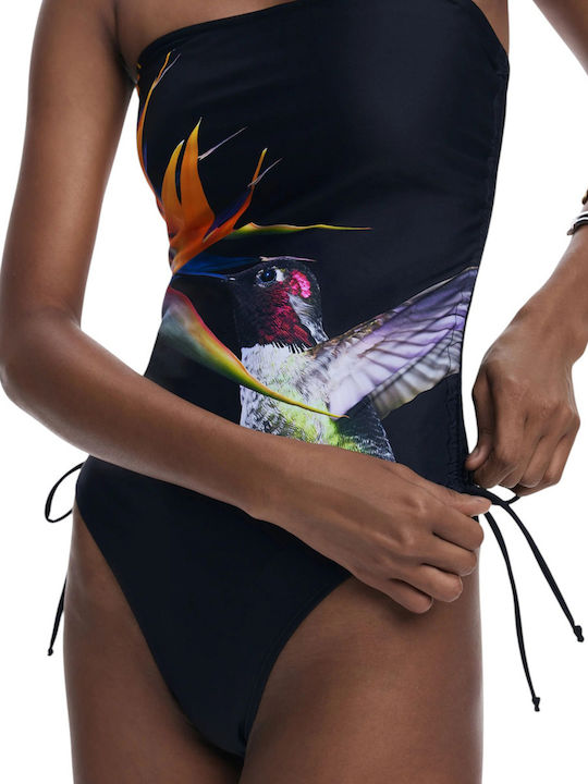 Colibri Negru