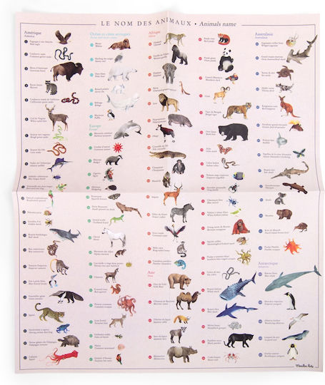 World Map Transfer Game Moulin Roty