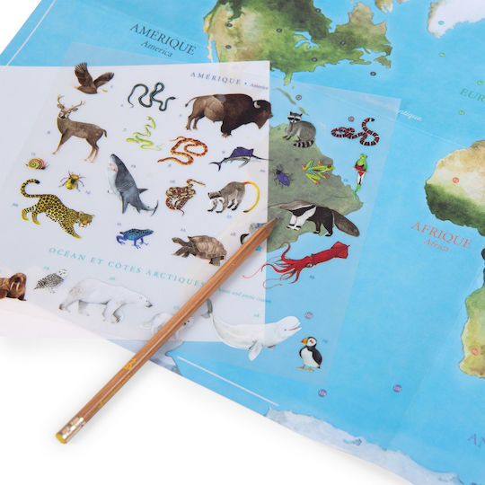World Map Transfer Game Moulin Roty