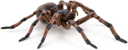 Spider Figurina Chat