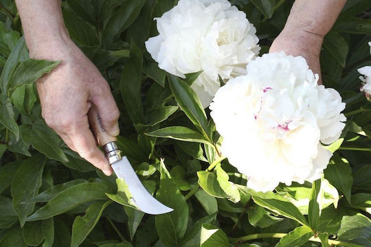 Opinel Νο.08 Garden Σουγιάς Καφέ