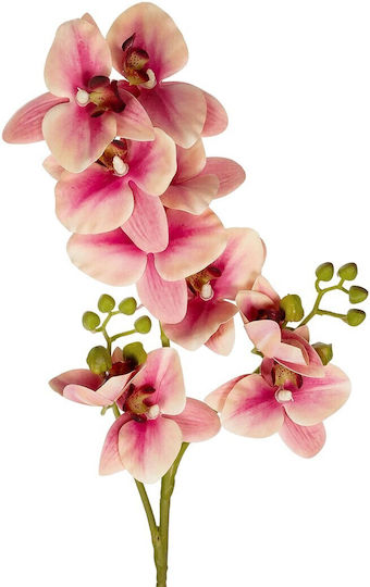 Globostar Künstlicher Dekorativer Champagner-Orchideen-Zweig H70cm