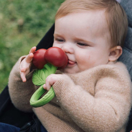 Oli&Carol Teething Rattle Teethers from Rubber for 3 m+