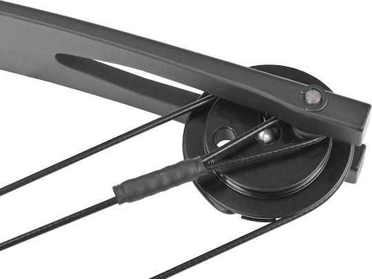 Poe Lang Recurve Τόξο