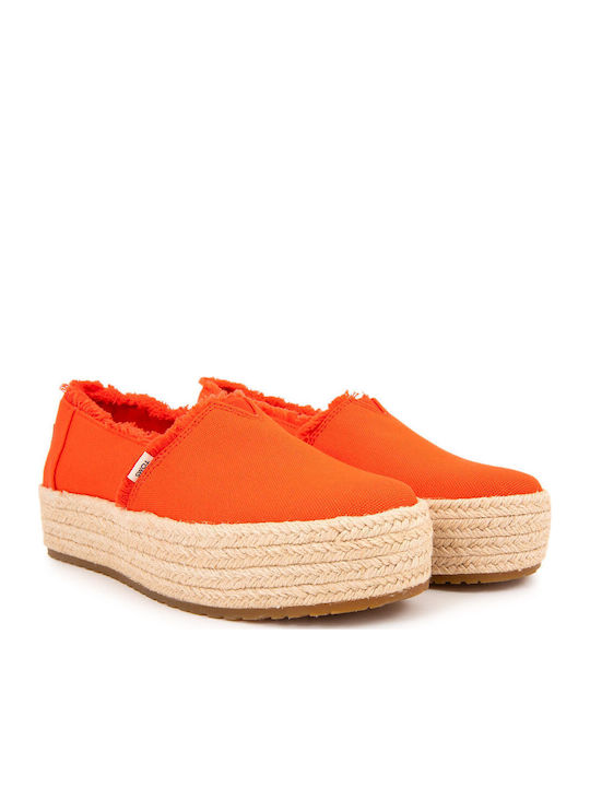 Toms