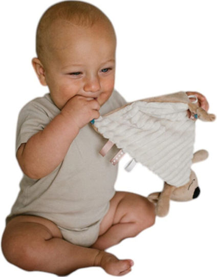 Babyono Baby Comforter Charlie Koala Beige