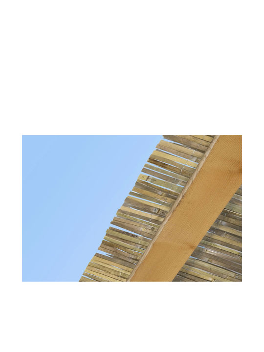 General Trade Καλαμωτή με Ολόκληρο Καλάμι 1x3m 53328018