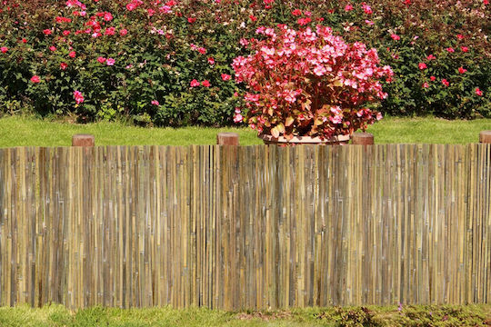 General Trade Bamboo Fencing with Whole Reed 2x3m