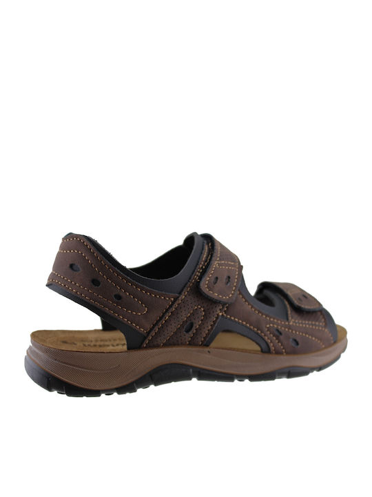 Anatomico Men's Sandals Brown