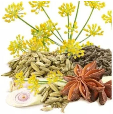 Holle Βιολογικό Τσάι Θηλασμού 20×1 5g Φακελάκια 17403