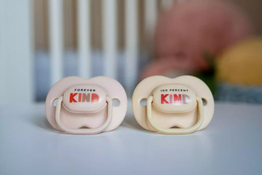 Tommee Tippee Anytime Soother Orthodontic Pacifiers Silicone Mint/Grey for 0-6 months 2pcs
