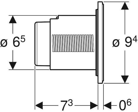 Geberit Flush Plate Dual Flush