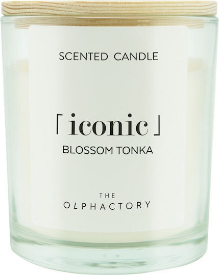 Ambientair Lumânare Aromatică în Borcan Iconic Ambientair Lumânare Aromatică în Borcan Iconic