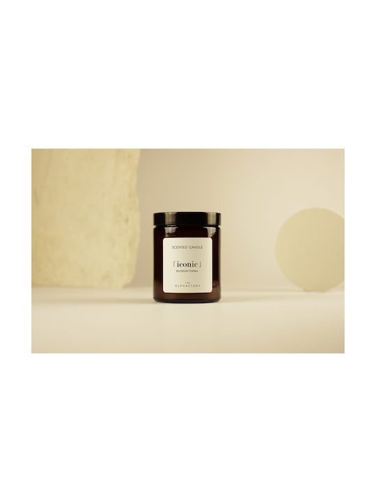 Ambientair Aromatic Candle in Jar with Blossom Perfume 135g