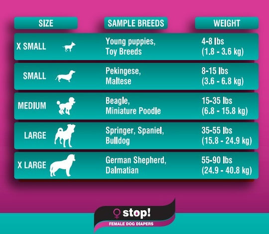 Pet Camelot Diapers Female Xs 36.5x25.5cm 20pcs