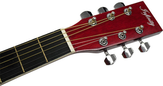 Infinity Acoustic Guitar 801
