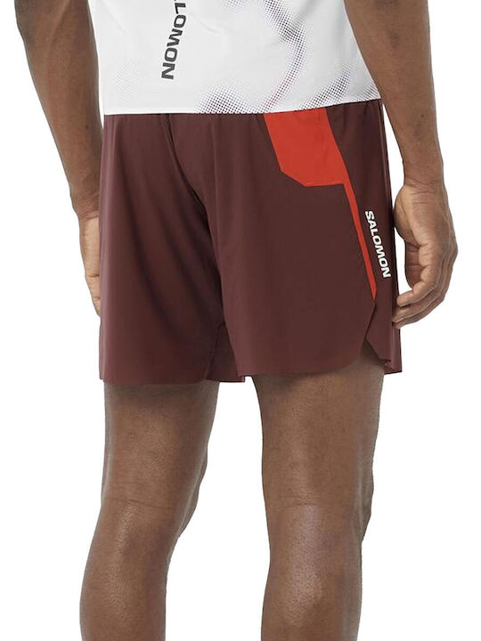 Salomon Salomon