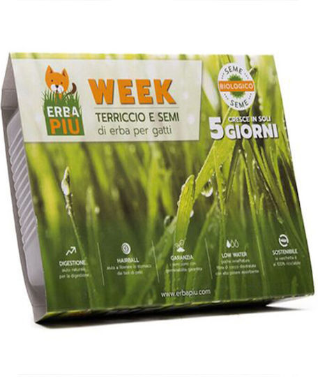 Erba Piu Grass for Gastrointestinal Disorders