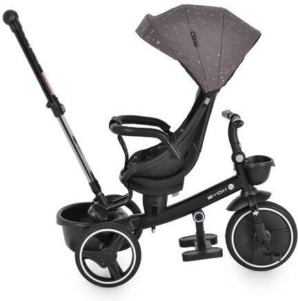 Byox Fusion Convertible with Parental Handle for 1-5 Years Gray