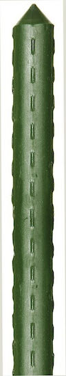Plastic Plant Support Rods 270 H Cm Ø 20mm