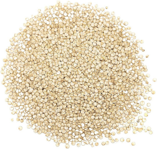 Μπαχαραδικο Κινόα Λευκή Bio 3000gr