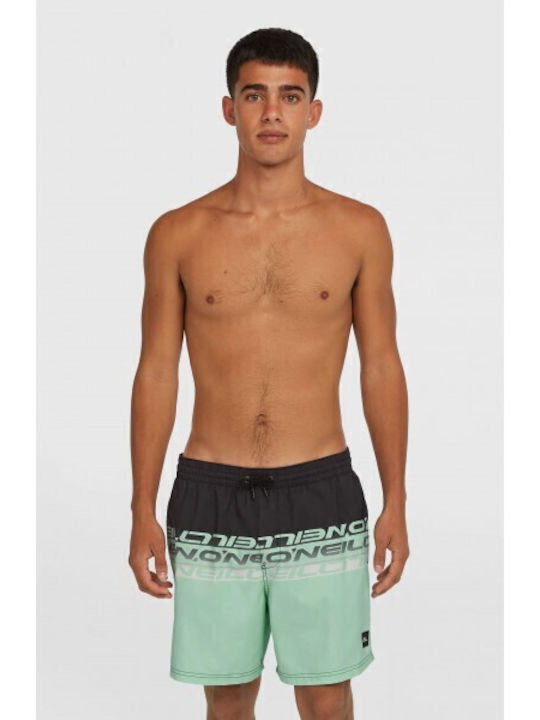 Cali Men's Swimwear Shorts Green/black Striped