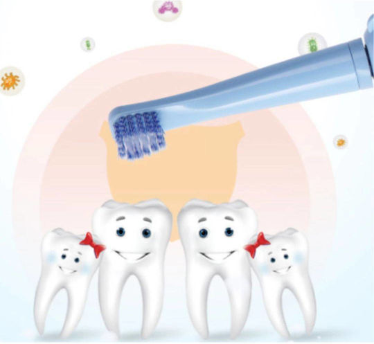 Andowl Bear Children's Electric Toothbrush with Chronograph Mple with Replacement Heads
