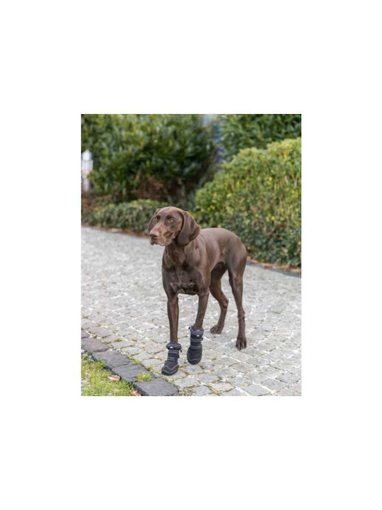 Trixie Protective Shoes Dog in Black Color
