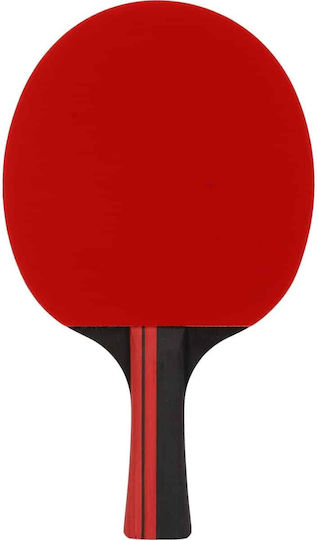Paletă de Ping Pong Fz Forza Amaze Tt 5 stele*****