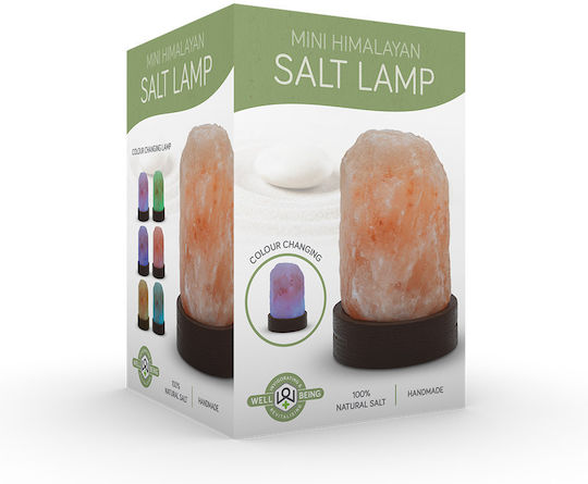 The Source Mini Decorative Lamp Himalayan Salt Pink