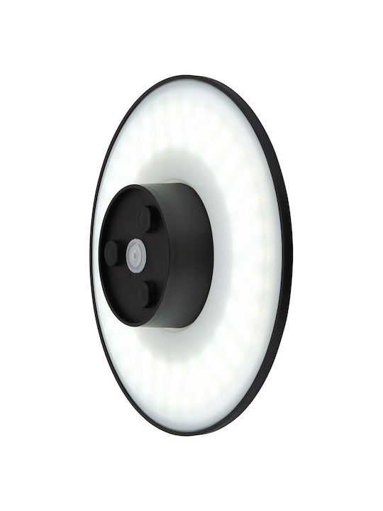 Globo Lighting Wall-Mounted Outdoor Light LED IP54 15W with Cool White Light